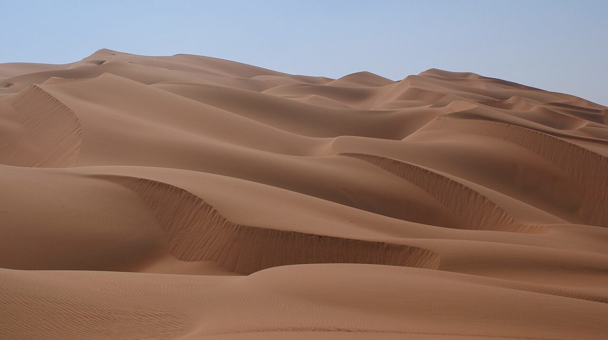 آليات بقاء ونمو الأشجار والنباتات في قلب الصحاري القاحلة