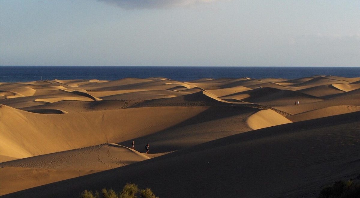 تأثير الرياح على تشكيل وتنوع الكثبان الرملية