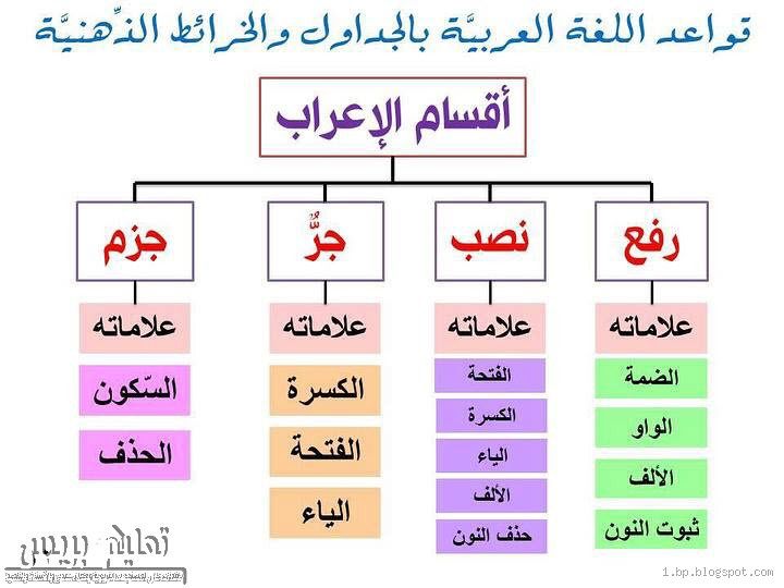 ما هو إعراب كلمة حتى؟ تفصيلات نحوية مهمة