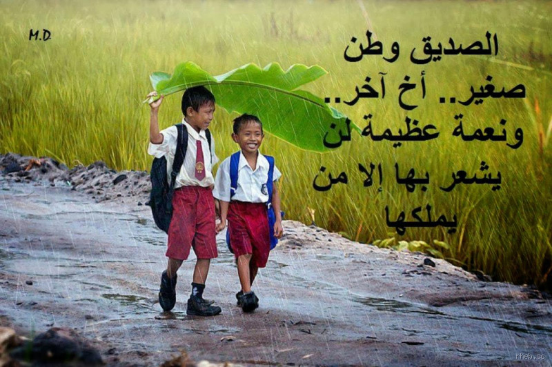 هل عمر وعلي كانا أصدقاء؟ الحقيقة وراء العلاقة بينهما