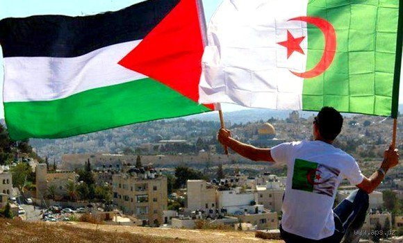 هل يجوز إعطاء الزكاة للأحفاد الأيتام؟
