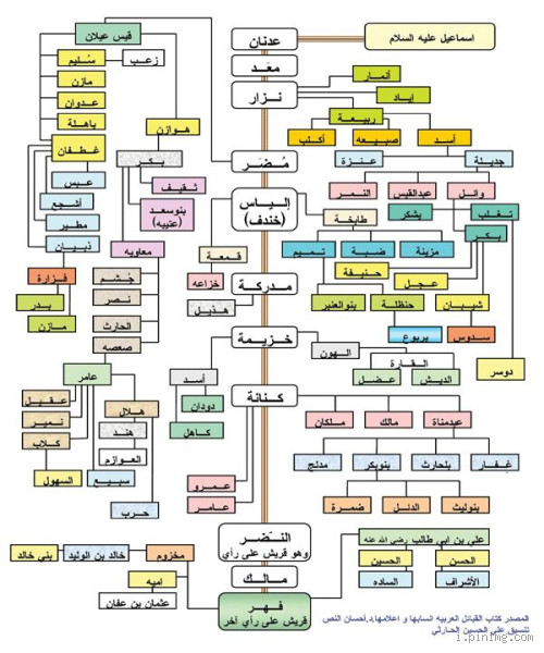 ما هو اسم النبي محمد كامل إلى آدم؟ تعرف على سلسلة الأنبياء