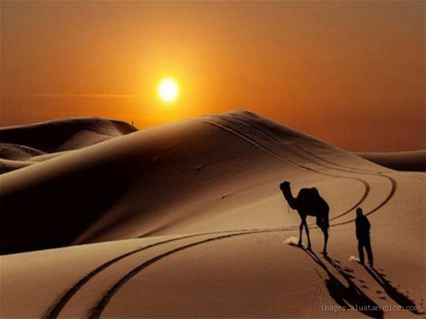 من هو الصحابي الذي تزوج كثير من النساء؟ قصة مدهشة وصادمة