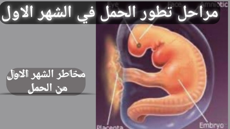 كيف يتم اسقاط الجنين الميت في الشهر الأول؟ معلومات يجب معرفتها