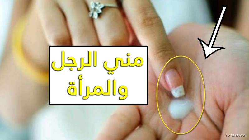 ما هو طعم مني الرجل؟ تعرف على التفاصيل المثيرة